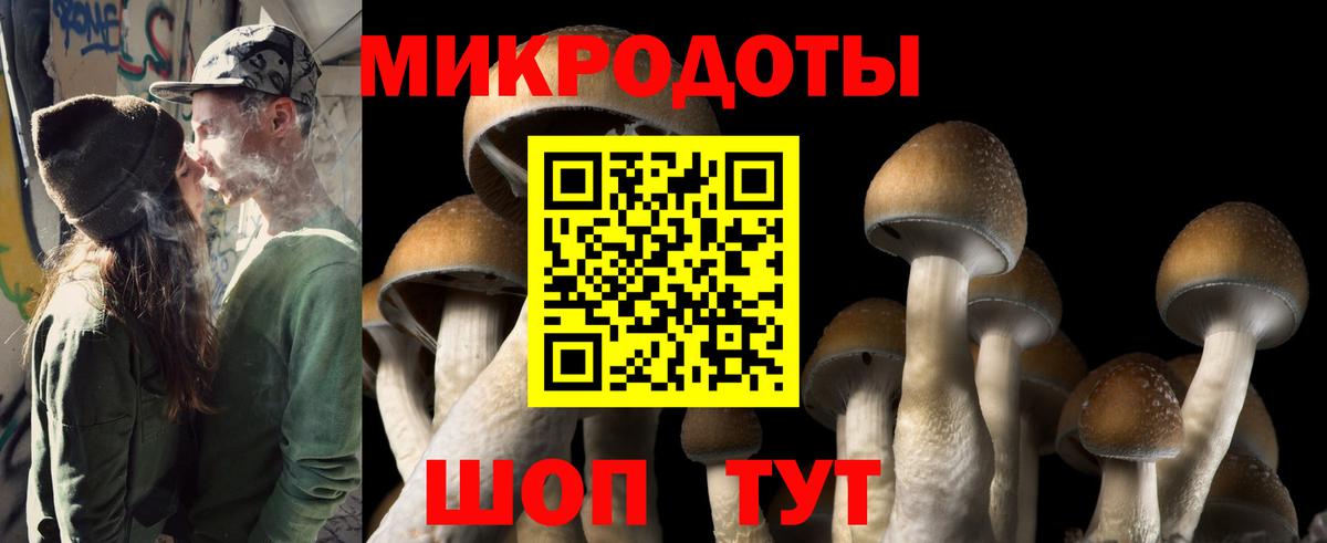 Тимашёвск  Псилоцибиновые грибы мухоморы  Вход с VPN 